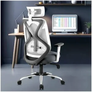 Executive Ergonomic Office Chair